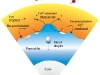 ciclo-gomal-de-carbono-y-el-manto-terrestre-fuente-india-talkies
