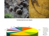 geodiversidad