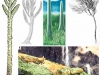 invasion-de-la-tierra-por-hongos-source-plant-pathogenic-fungi