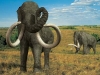 mamutus-en-arizona-fuente-northwest-coast-archaeology
