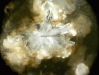 o_Hazenite Science