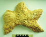 o_Huella Dinosairio Jurasiso