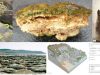 rocas-vivas