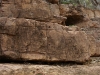 suelos-ediacaran-wikimedia