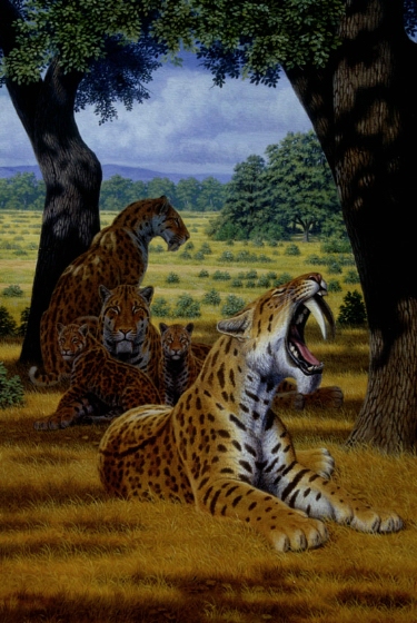tigres-con-dientes-de-sable-norteamarica-fuente-anthropology-net