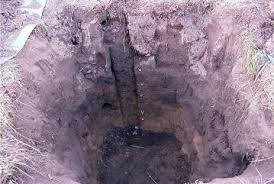 secuestro-de-carbono-y-perfil-del-suelo