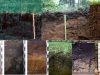 SOM-Soil-Global