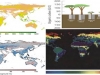 biomasa-raices-mundo-produccion-primaria-neta