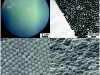 materiales-carbono-porosos