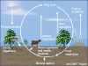 o_Biogeochemical Dynamics Oak Ridge