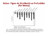 o_Raices 11