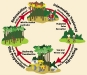 o_lifecycle