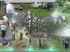 o_reforestacion