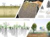 raices-profundas-raices-someras