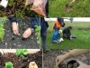 te-bolsas-descomposicion-materia-organica