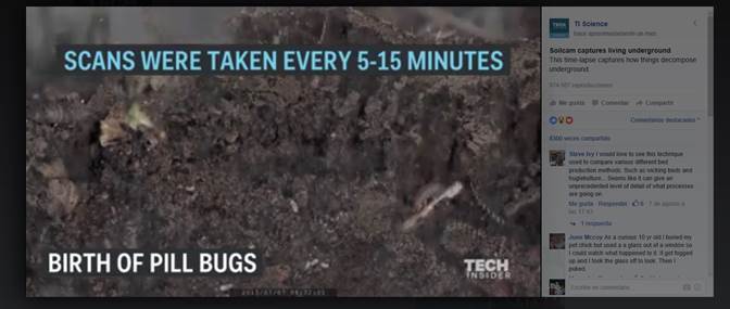 video-de-como-se-descompone-la-materia-organica-en-el-suelo