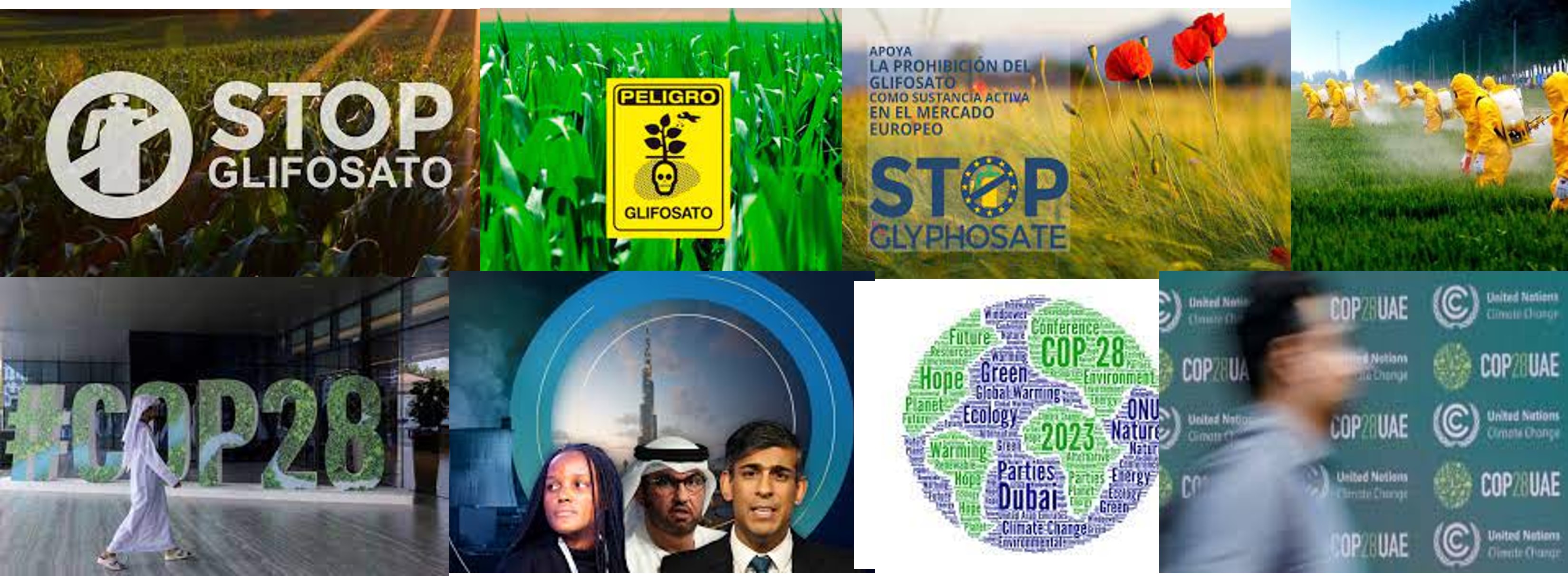 COP28-Glifosfato