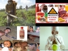 agroindustria-denunciada-por-la-onu
