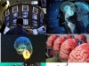neurociencia-tecnociencia