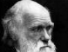 o_t_Darwin