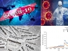 pandemia-covid-papers