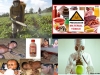 pesticidas-agroindutris-y-la-onu