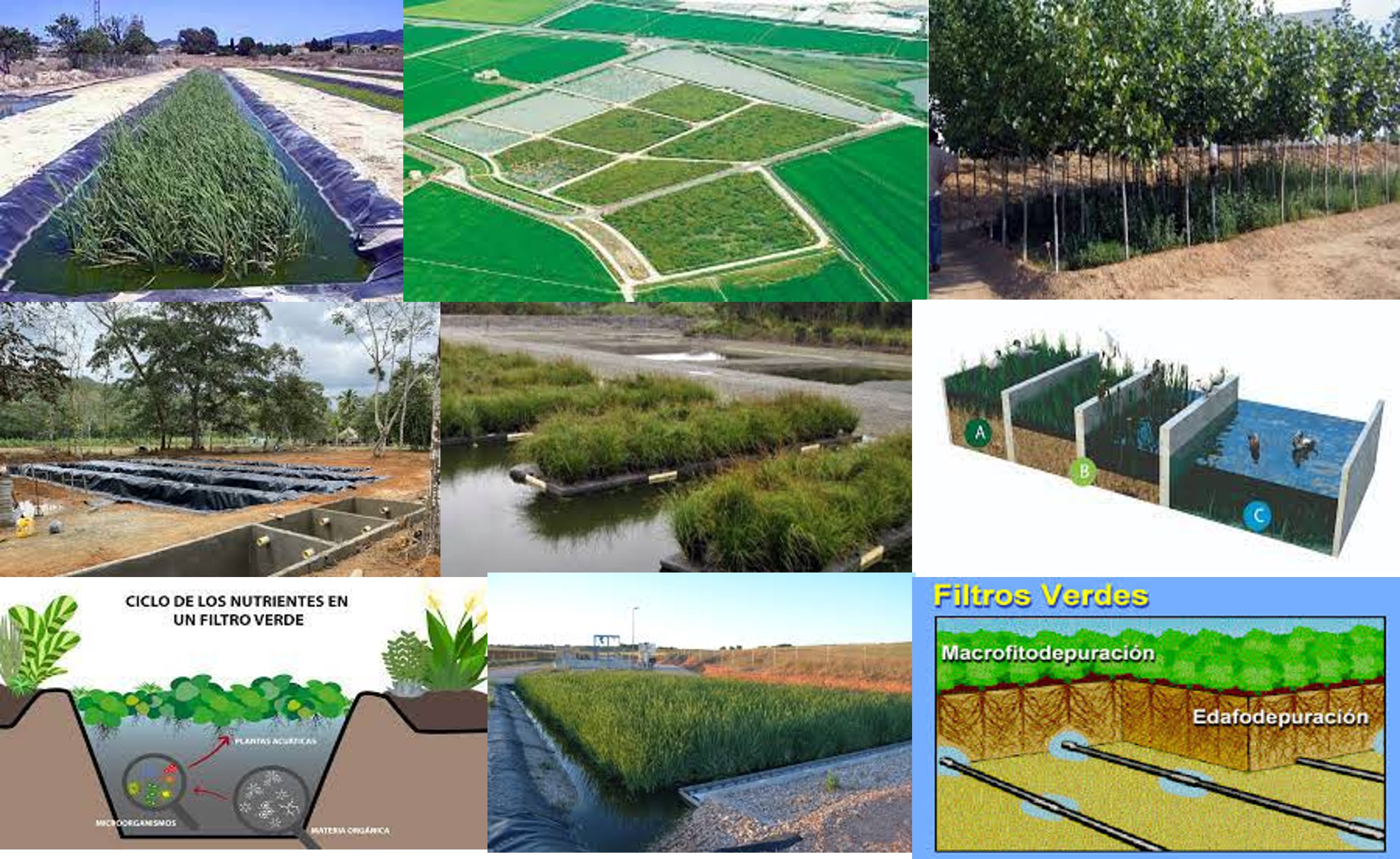 Filtros-verdes-aguas-residuales