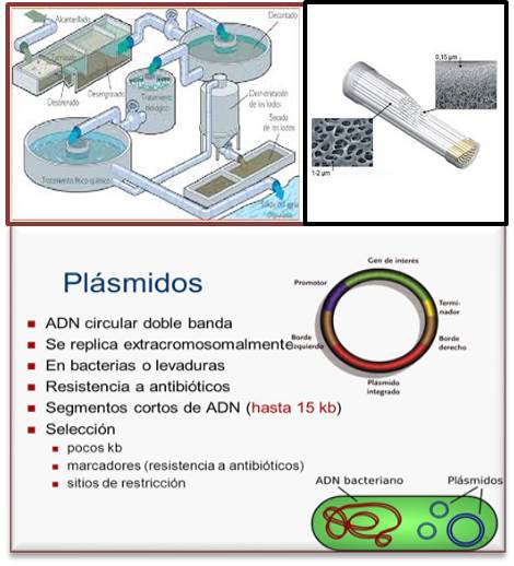 aguas-rsiduales-plasmidos-superbacterias