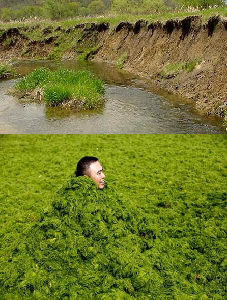 erosion-fosforo-y-floraciones-algales