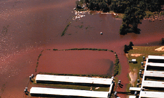 La-rotura de balsas de residuos de-granjas-animales-genera-problemas-vde-contaminacion de suelos y afuas fuente-environmental-health-perspectives-photo-courtesy-of-rick-dove