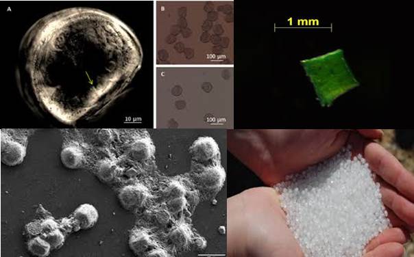 microplasticos-nanoplasticos-heces-humanas peque