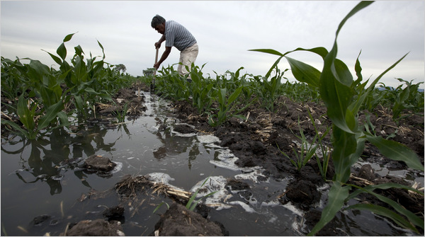 riego-con-aguas-residuales-en-latinoamerica