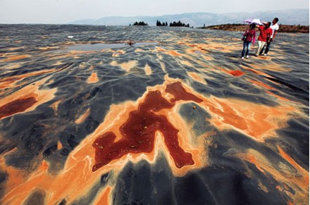 the-soil-close-to-yangzong-lake-southwest-china-yunnan-province-was-seriously-polluted-by-arsenic-in-2009