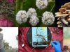 Contaminacion-sitios-contaminados