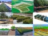 Filtros-verdes-aguas-residuales
