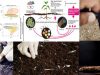 Microplasticos-humedad-del-suelo