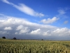 agricultura-de-conservacion-y-multinacionales-by-david-suzuki-with-faisal-moola