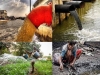 agricultura-urbana-agua-residual-enfermedades