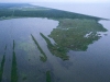Humedales de Luisiana, Catástrofe natural, contaminación, petróleo.