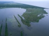 Wetlands