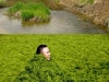 erosion-fosforo-y-floraciones-algales