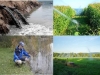 filtros-vivos-contaminantes-emergentes