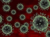 gripe-aviar-avian_influenza_h5n1_virus_50271391