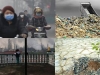 holocausto-ambiental