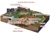 land-pollution1
