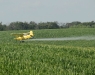 Los-herbicidas-arrojados-desde-los-aviones-causan-graves-problemas-de-salud-a-los-agricultores-de-muchas-regiones-del-mundo-fuente-laleva-org
