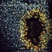 nanoparticulas-de-plana-fuente-topnews