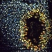 nanoparticulas-de-plana-fuente-topnews