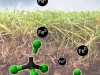 Nanopartículas en el suelo para bioremediación