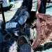 o_Basura  fondo mar jonico